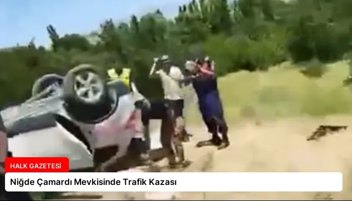 Niğde Çamardı Mevkisinde Trafik Kazası