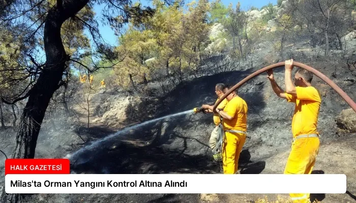 Milas’ta Orman Yangını Kontrol Altına Alındı