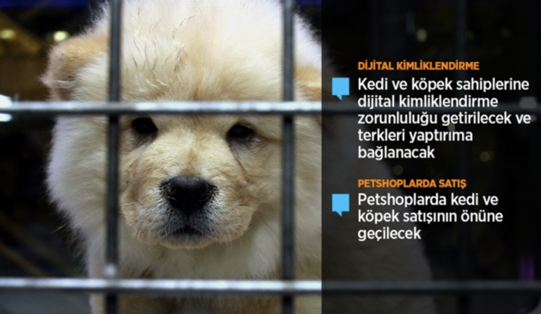Hayvanların korunmasına ilişkin kanun teklifi TBMM Başkanlığı’na sunuldu