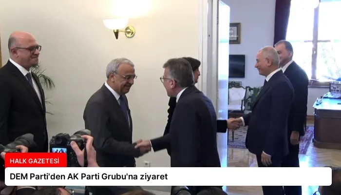 DEM Parti’den AK Parti Grubu’na ziyaret
