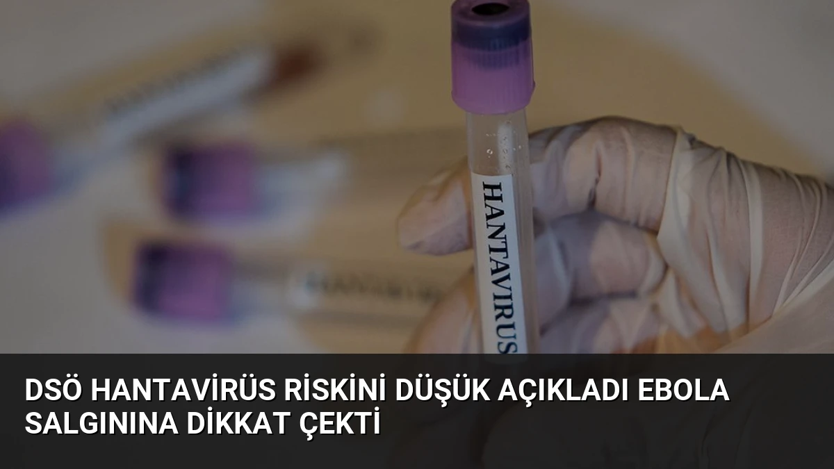 DSÖ Hantavirüs Riskini Düşük Açıkladı Ebola Salgınına Dikkat Çekti