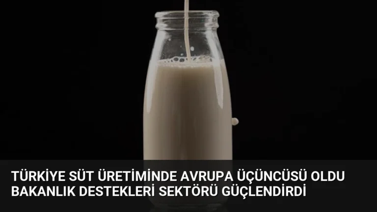 Türkiye Süt Üretiminde Avrupa Üçüncüsü Oldu Bakanlık Destekleri Sektörü Güçlendirdi