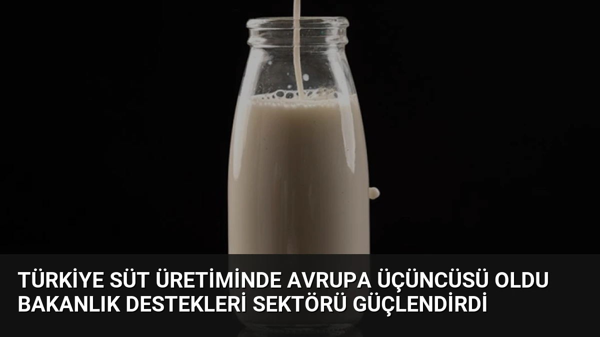 Türkiye Süt Üretiminde Avrupa Üçüncüsü Oldu Bakanlık Destekleri Sektörü Güçlendirdi