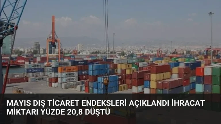 Mayıs Dış Ticaret Endeksleri Açıklandı İhracat Miktarı Yüzde 20,8 Düştü