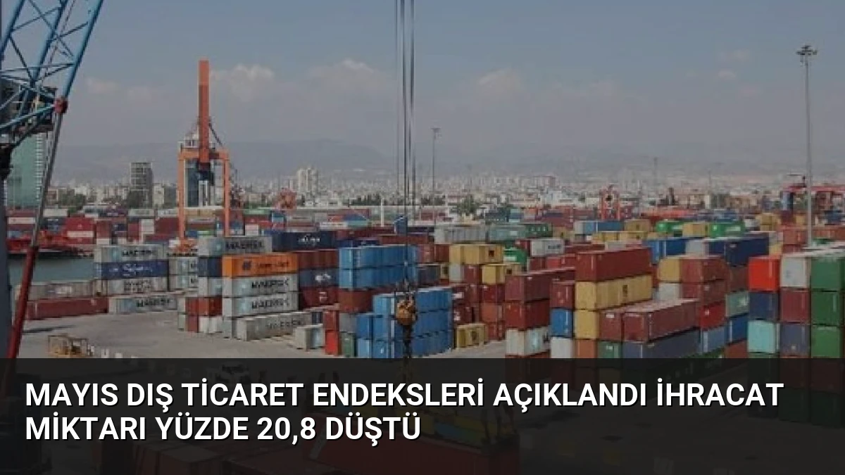 Mayıs Dış Ticaret Endeksleri Açıklandı İhracat Miktarı Yüzde 20,8 Düştü