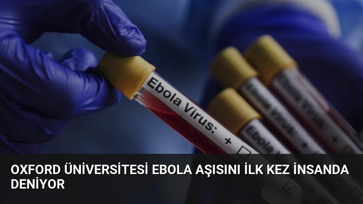 Oxford Üniversitesi Ebola Aşısını İlk Kez İnsanda Deniyor