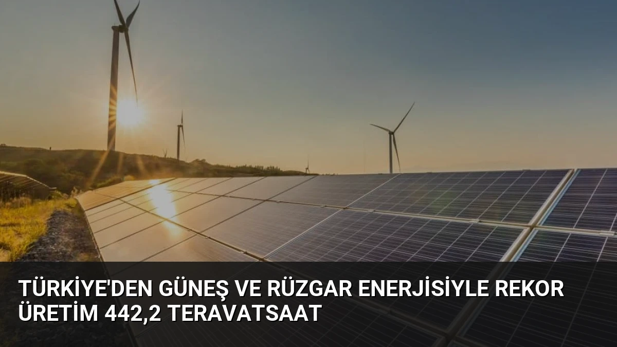 Türkiye’den Güneş ve Rüzgar Enerjisiyle Rekor Üretim 442,2 Teravatsaat