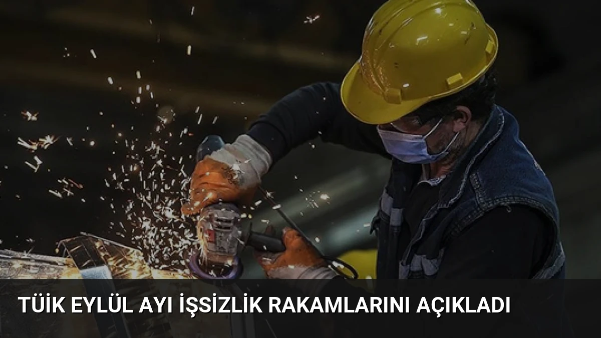 TÜİK Eylül Ayı İşsizlik Rakamlarını Açıkladı